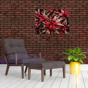 Tablou - Petale roșii (70x50 cm)