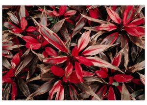 Tablou - Petale roșii (90x60 cm)