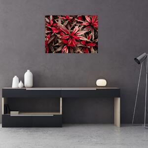 Tablou pe sticlă - Petale roșii (70x50 cm)
