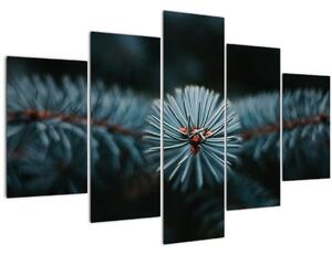Tablou -Crenguțe ale unui conifer (150x105 cm)