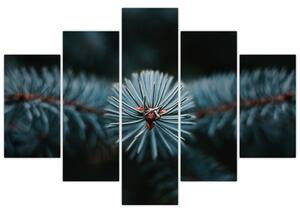 Tablou -Crenguțe ale unui conifer (150x105 cm)