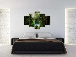 Tablou - Fereastra între copaci (150x105 cm)