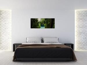 Tablou - Fereastra între copaci (120x50 cm)