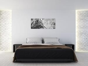 Tablou - Pisica (120x50 cm)