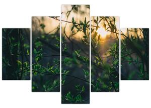 Tablou - Soarele strălucind printre crengile copacilor (150x105 cm)