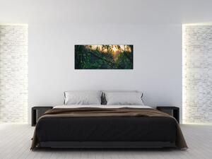Tablou - Soarele strălucind printre crengile copacilor (120x50 cm)
