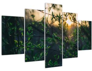 Tablou - Soarele strălucind printre crengile copacilor (150x105 cm)