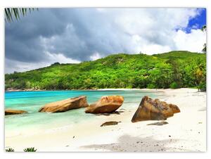 Tablou - Seychelles, plaja Takamaka (70x50 cm)