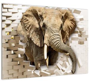 Tablou pe sticlă - Elefant spârgând peretele (70x50 cm)