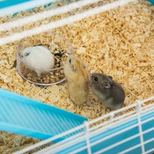 Cusca pentru hamsteri PawHut, refugiu pe 5 niveluri, 59cmx36cmx69cm | Aosom RO