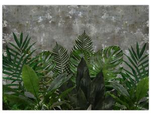 Tablou - Zid de beton cu plante (70x50 cm)