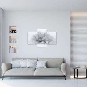 Tablou - Iarnă albă (90x60 cm)