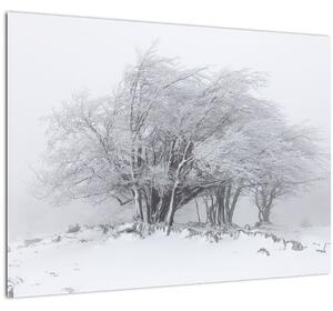 Tablou pe sticlă - Iarnă albă (70x50 cm)