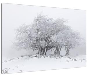 Tablou - Iarnă albă (90x60 cm)