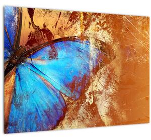 Tablou - Fluture albastru (70x50 cm)