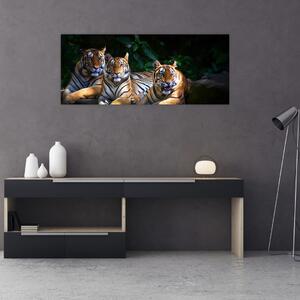 Tablou - Tigrii frați (120x50 cm)