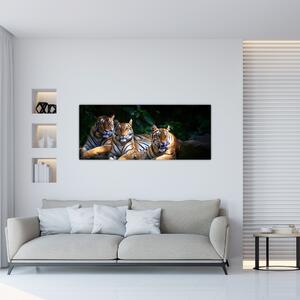 Tablou - Tigrii frați (120x50 cm)