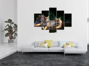 Tablou - Tigrii frați (150x105 cm)
