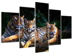 Tablou - Tigrii frați (150x105 cm)