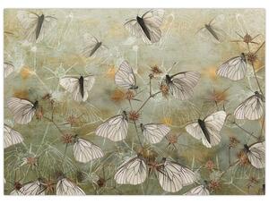 Tablou - Vintege fluturi (70x50 cm)