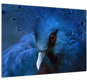Tablou - Porumbel încoronat (70x50 cm)