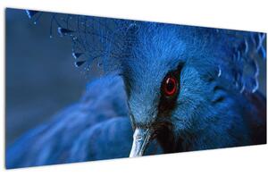 Tablou - Porumbel încoronat (120x50 cm)