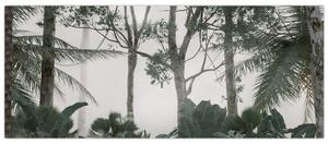 Tablou - Jungla în ceața dimineții (120x50 cm)