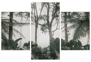 Tablou - Jungla în ceața dimineții (90x60 cm)