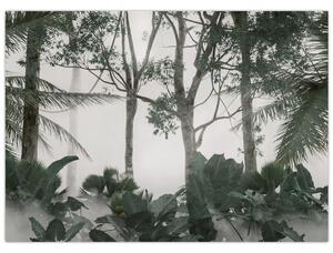 Tablou - Jungla în ceața dimineții (70x50 cm)