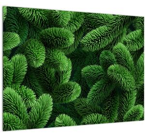 Tablou pe sticlă - Ramuri de conifere (70x50 cm)