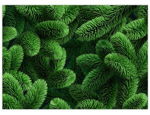 Tablou - Ramuri de conifere (70x50 cm)