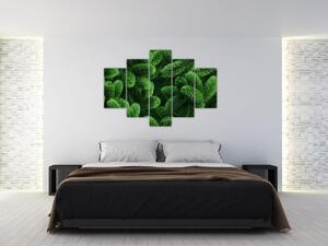 Tablou - Ramuri de conifere (150x105 cm)