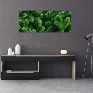 Tablou - Ramuri de conifere (120x50 cm)