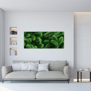 Tablou - Ramuri de conifere (120x50 cm)
