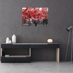 Tablou - Copacii roșii, Central Park, New York (70x50 cm)
