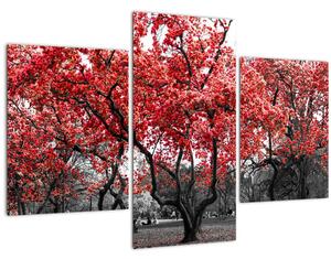 Tablou - Copacii roșii, Central Park, New York (90x60 cm)