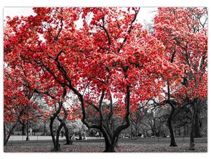 Tablou pe sticlă - Copacii roșii, Central Park, New York (70x50 cm)