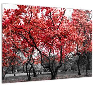 Tablou pe sticlă - Copacii roșii, Central Park, New York (70x50 cm)