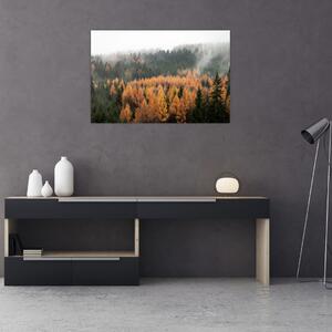 Tablou - Pădure toamna (90x60 cm)