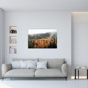 Tablou - Pădure toamna (90x60 cm)