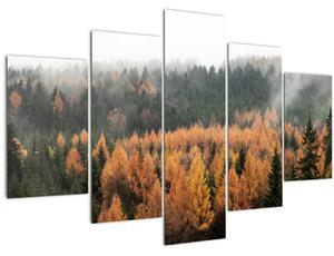 Tablou - Pădure toamna (150x105 cm)