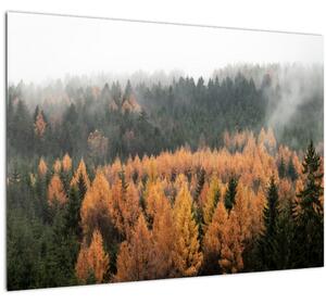 Tablou - Pădure toamna (70x50 cm)
