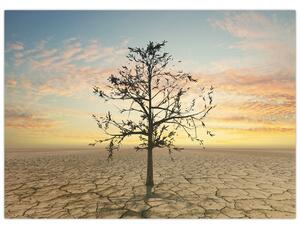 Tablou pe sticlă - Copac în deșert (70x50 cm)