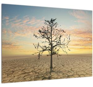 Tablou pe sticlă - Copac în deșert (70x50 cm)