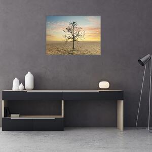Tablou - Copac în deșert (70x50 cm)