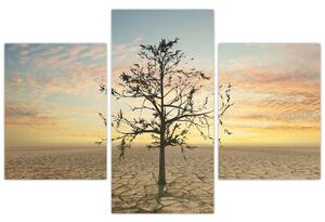 Tablou - Copac în deșert (90x60 cm)