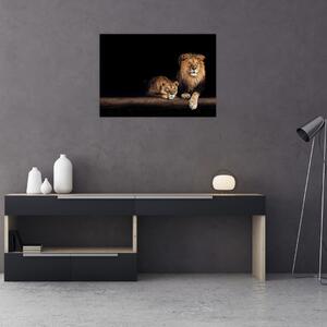 Tablou - Leu și leoaică (70x50 cm)