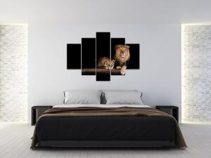 Tablou - Leu și leoaică (150x105 cm)