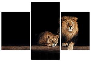 Tablou - Leu și leoaică (90x60 cm)
