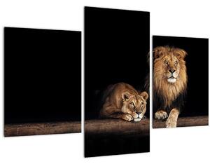 Tablou - Leu și leoaică (90x60 cm)
